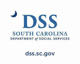 DSS Logo with Website